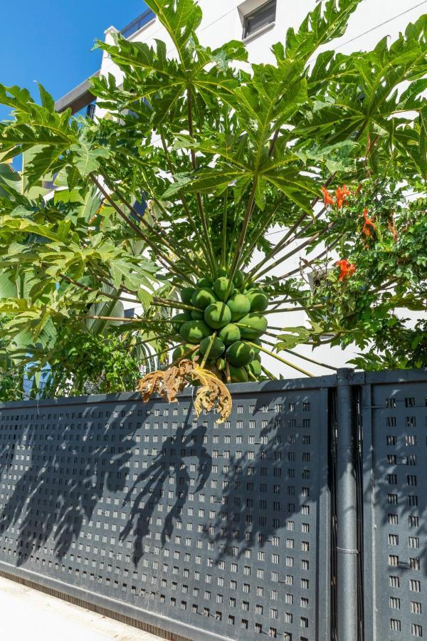 Medano4You The Strelitzia Terrace Эль-Медано Экстерьер фото